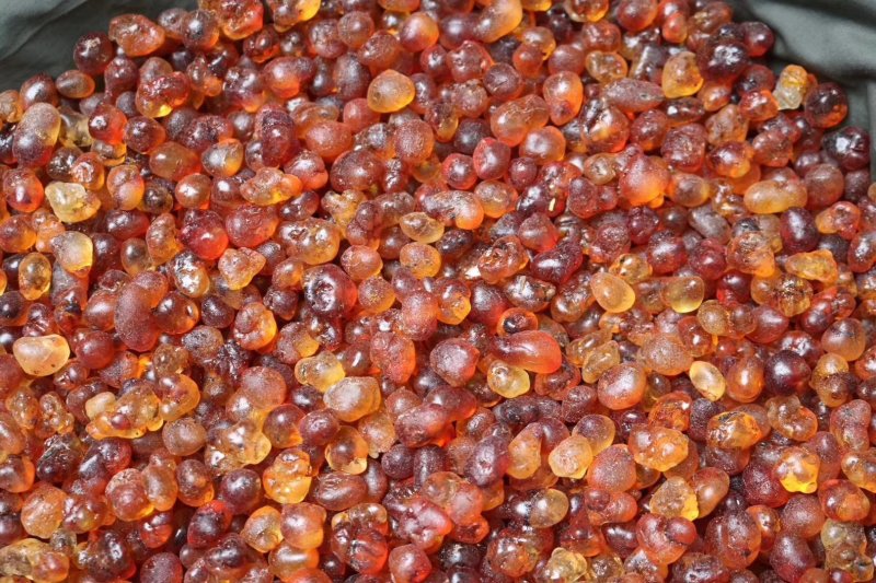直销批发特级中大号颗粒珍珠红桃胶高质量漂亮货