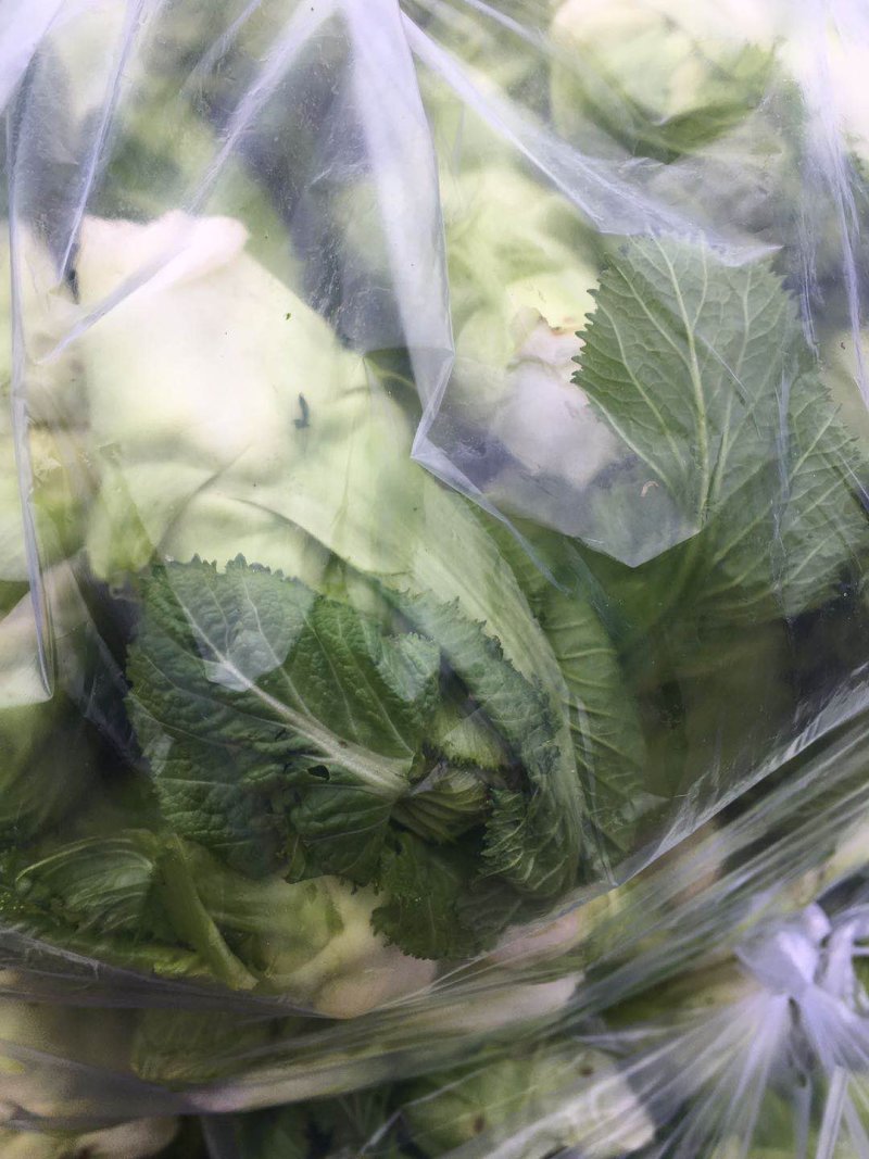 儿菜手撕净儿窝子