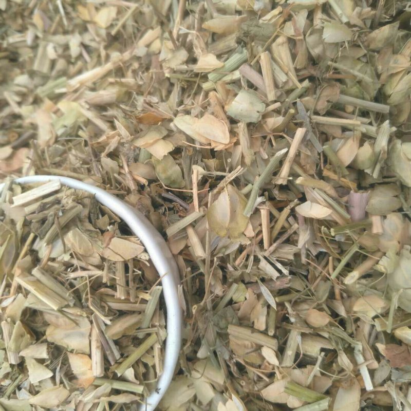败酱草苏败酱南败酱各种规格接受订单支持线上交易