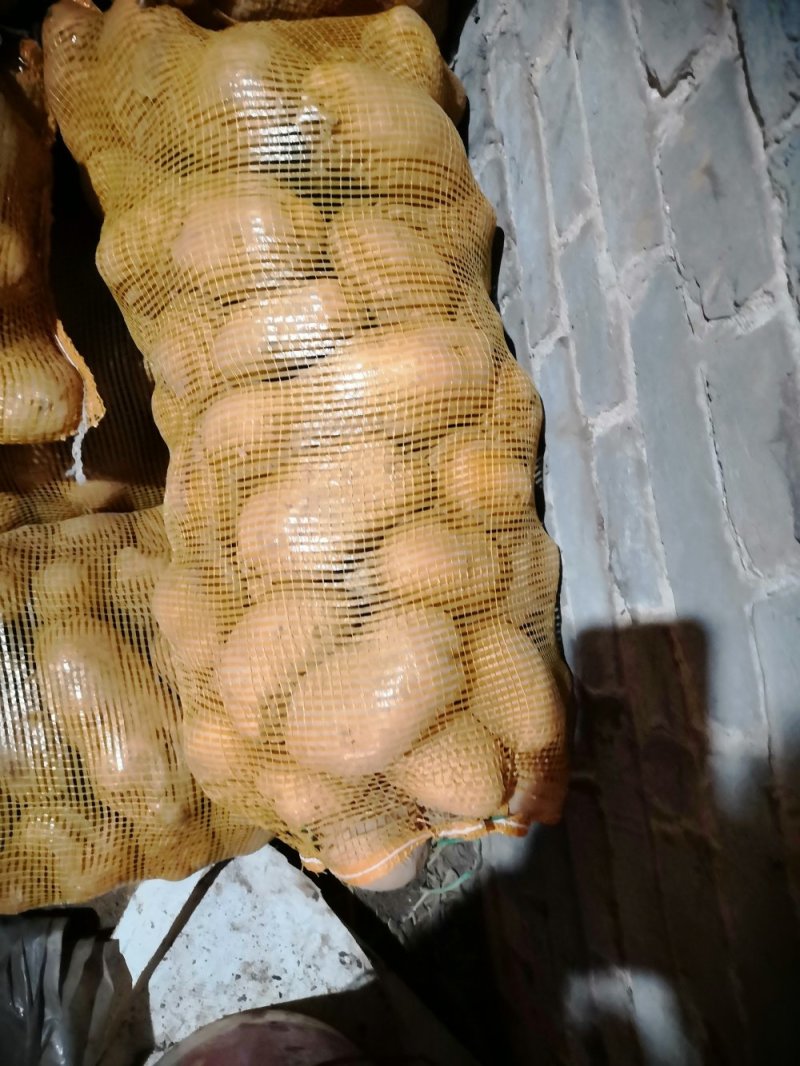 土豆