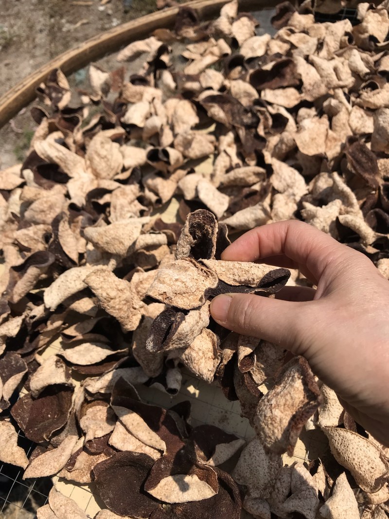 包邮正宗新会核心产区5年陈皮，煮茶，煲汤做菜佳品自产自销