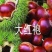 我苗木园精心，大红袍板栗苗