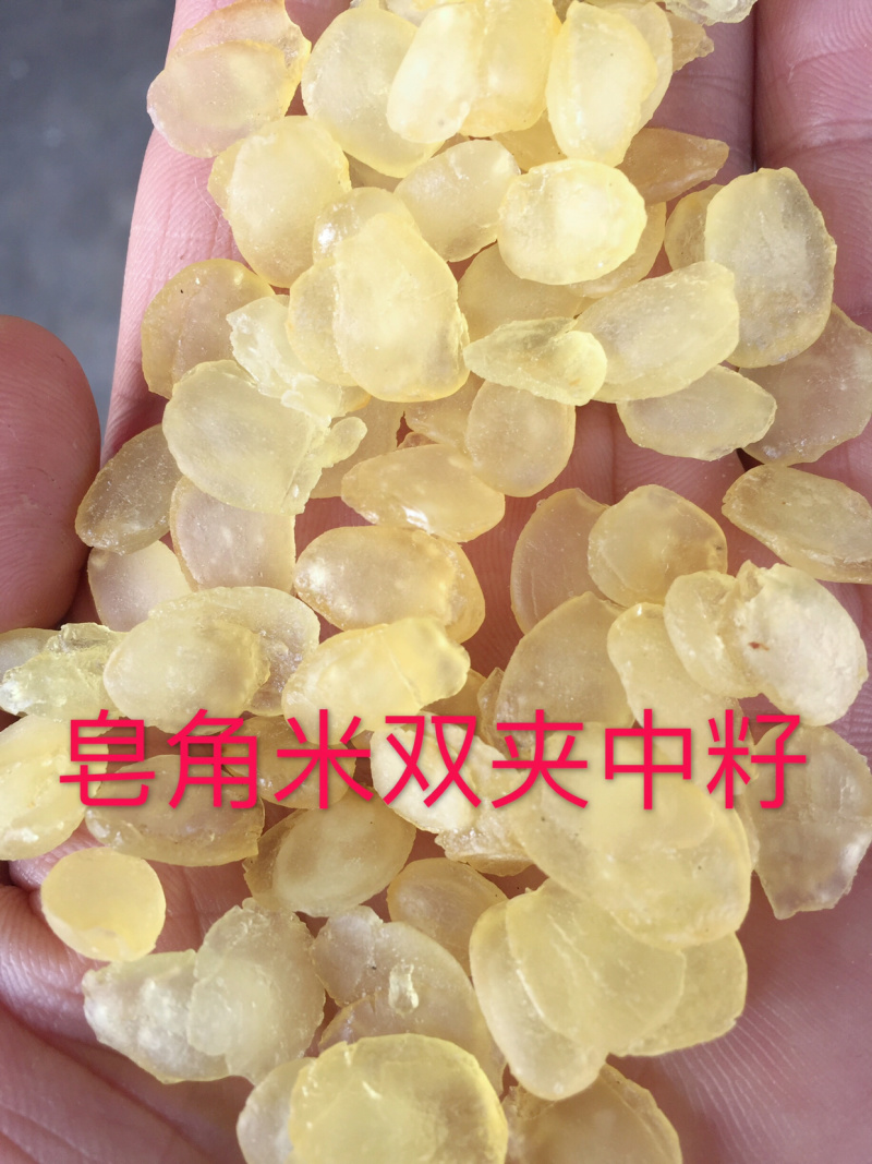 皂角米雪莲子单荚双荚皂荚皂角源头工厂一手货源大量现货批发