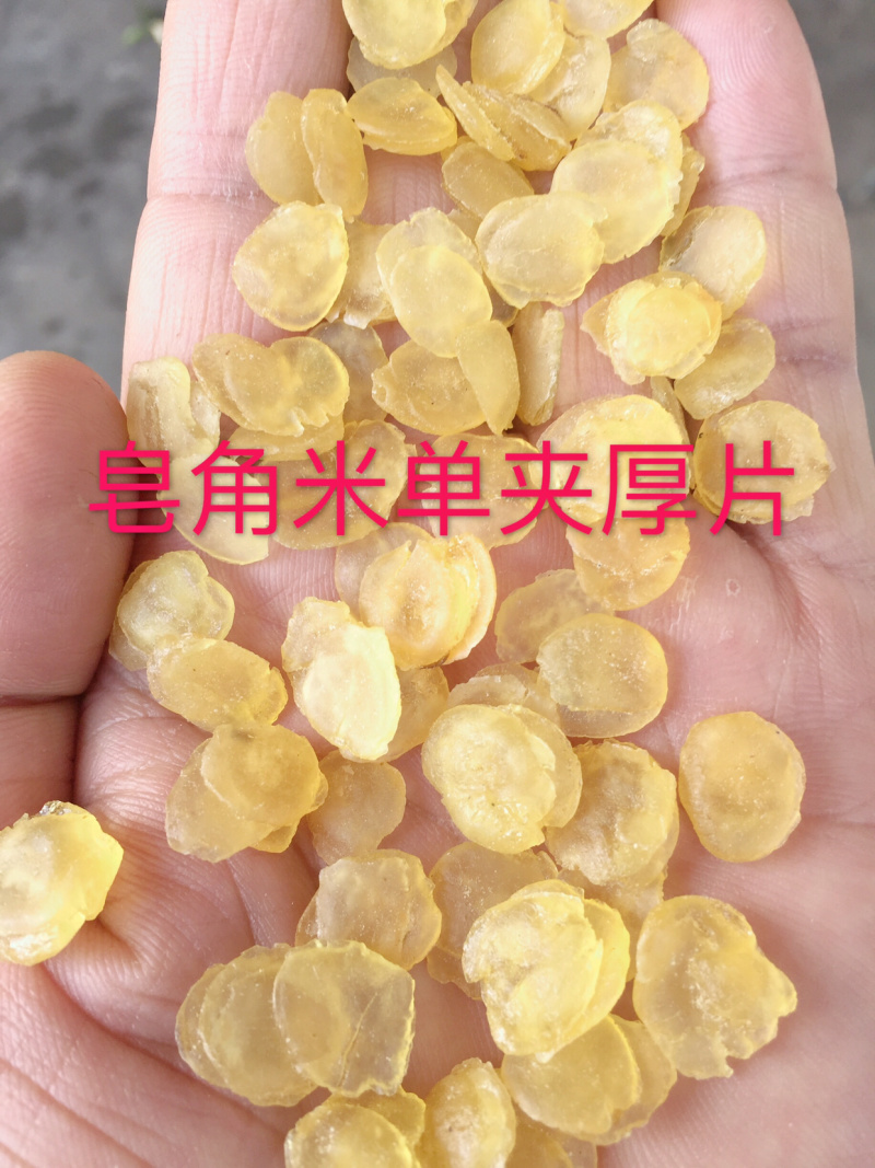 皂角米雪莲子单荚双荚皂荚皂角源头工厂一手货源大量现货批发