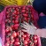 圣女果串果