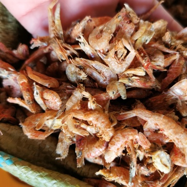 麦秆虾，红虾