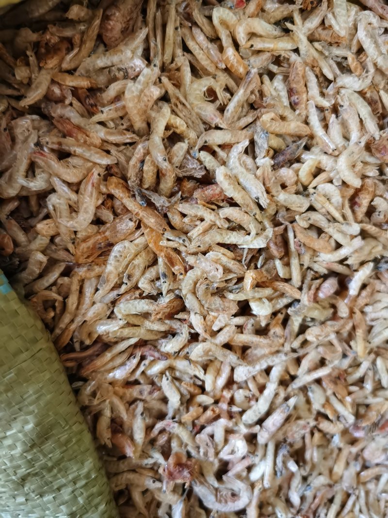 麦秆虾，红虾