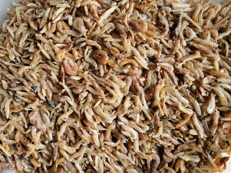 麦秆虾，红虾