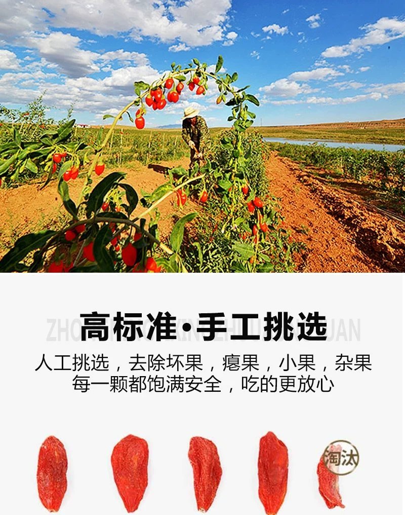 无硫枸杞子宁夏中宁特级野生免洗红枸杞茶男肾