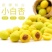小白杏新疆轮台小白杏大量供应，可一件代发视频看货