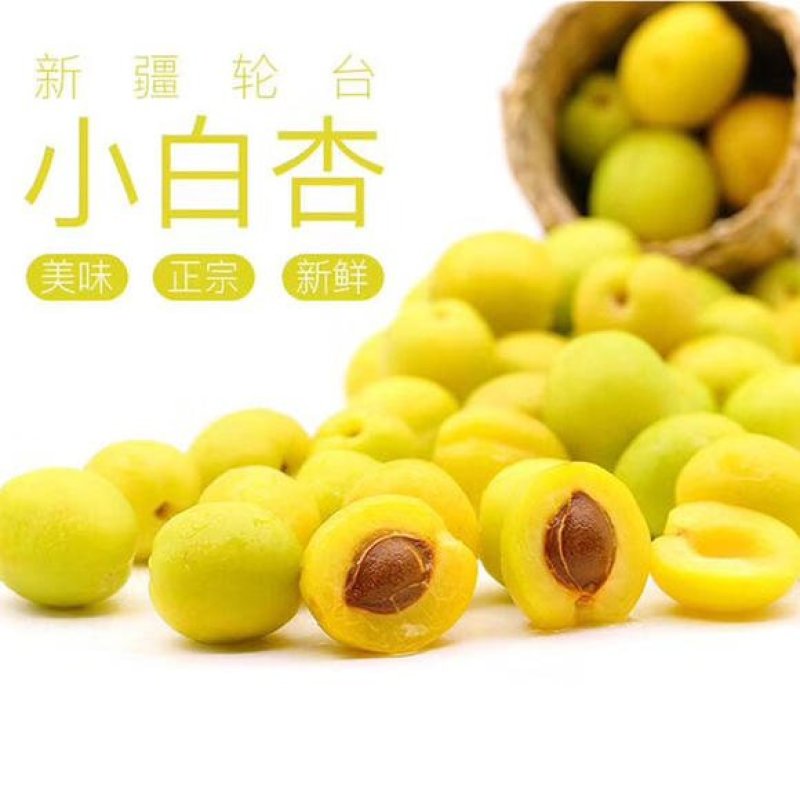 小白杏新疆轮台小白杏大量供应，可一件代发视频看货