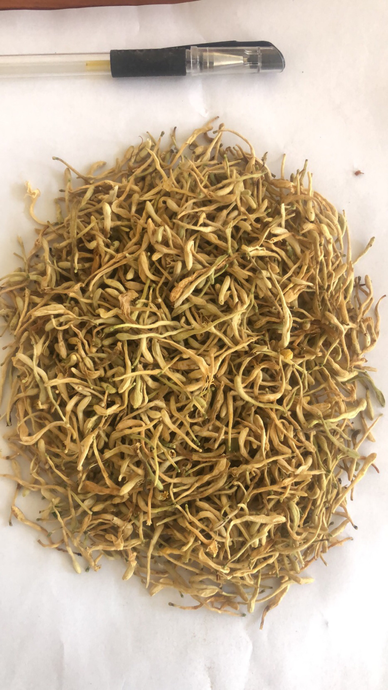 金银花