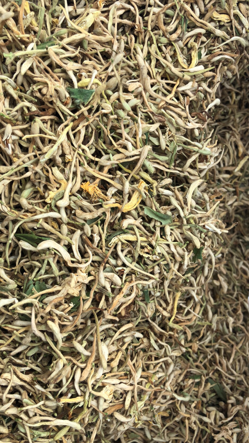 金银花