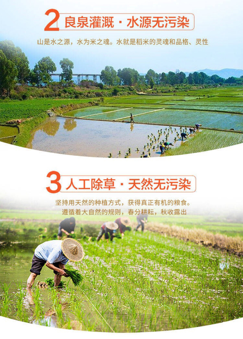 新米东北农家自产大米黑龙江长粒香大米批发新米农家现磨包邮