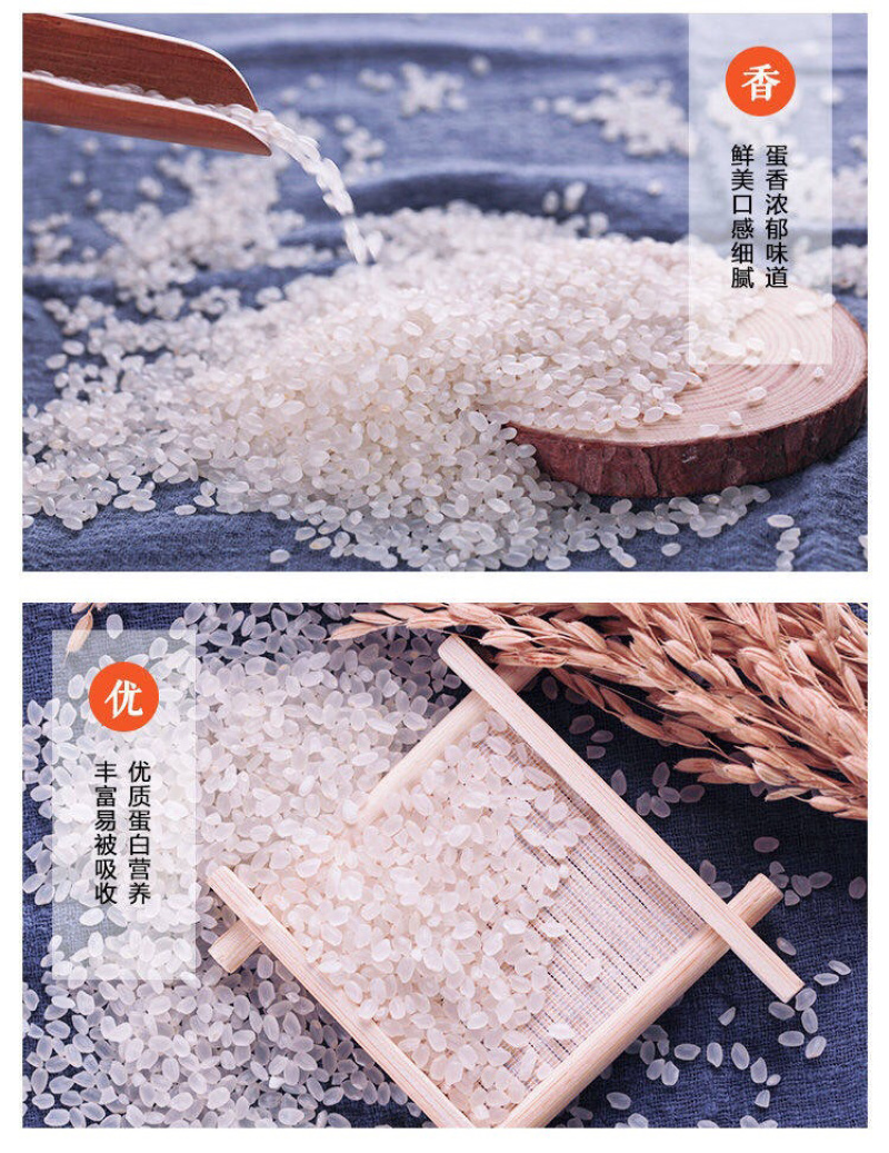 新米东北农家自产大米黑龙江长粒香大米批发新米农家现磨包邮