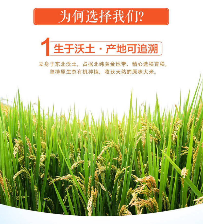 新米东北农家自产大米黑龙江长粒香大米批发新米农家现磨包邮
