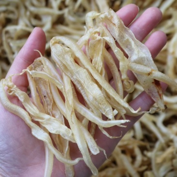 直销批发特级龙须胶足干无油适合小孩儿童食用