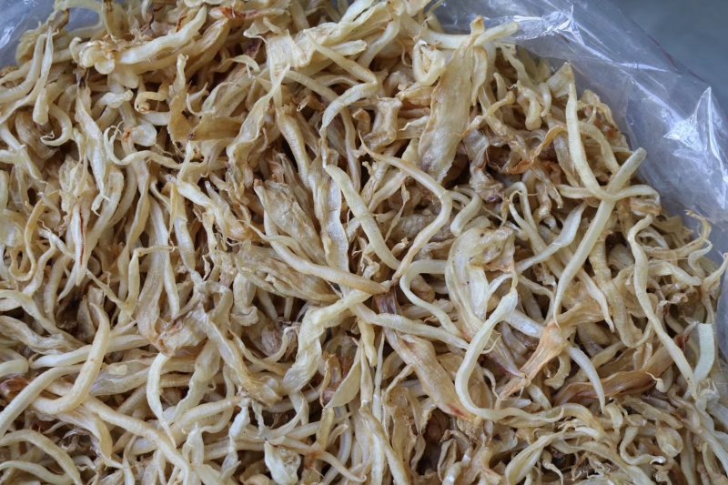 直销批发特级龙须胶足干无油适合小孩儿童食用