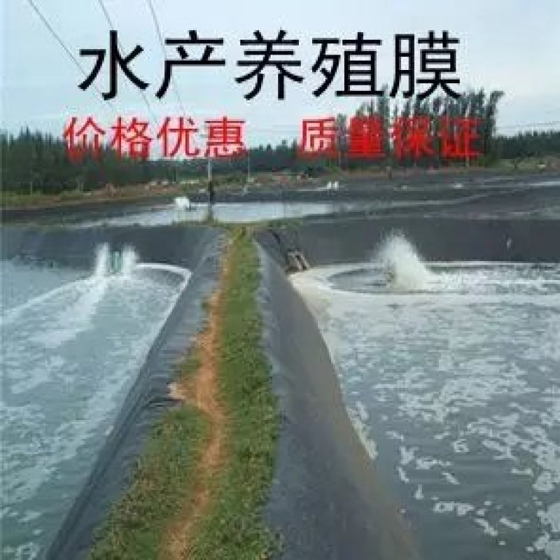 鱼塘防渗膜土工膜厂家直销护坡土工膜
