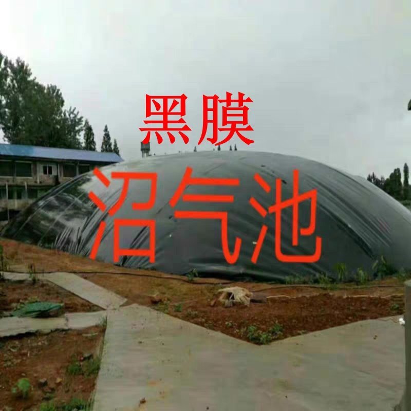 鱼塘防渗膜土工膜厂家直销护坡土工膜
