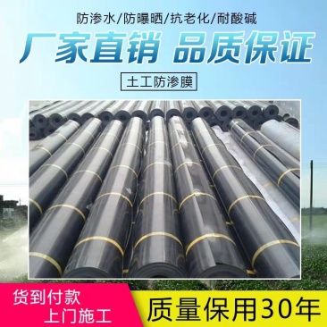 鱼塘防渗膜土工膜厂家直销护坡土工膜