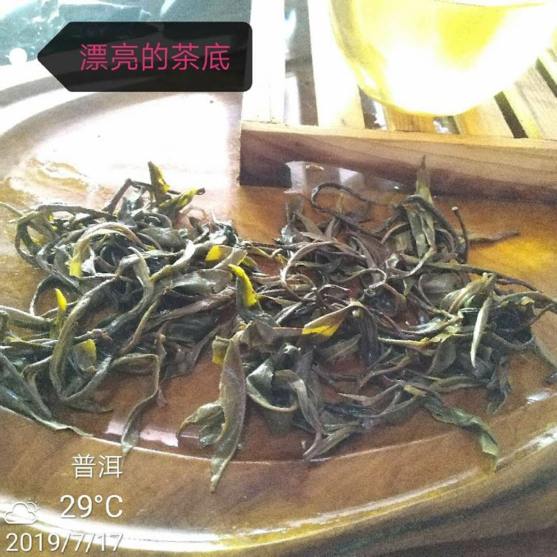 普洱茶(2017年明前古树茶原料)，一片也是批发价