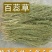 百蕊草，常年批发中药材百蕊草量大从优