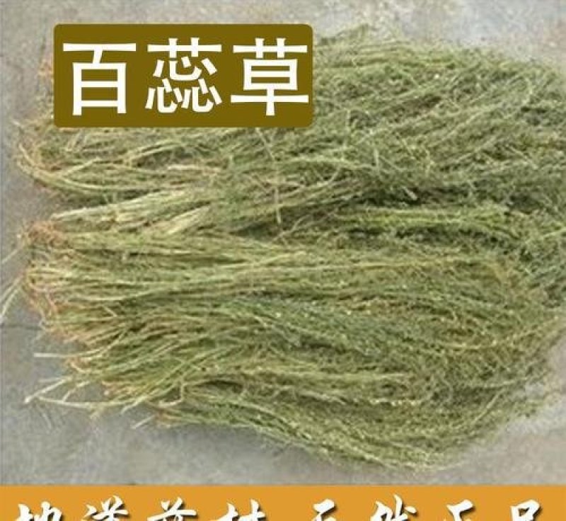 百蕊草，常年批发中药材百蕊草量大从优