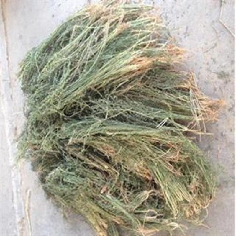 百蕊草，常年批发中药材百蕊草量大从优