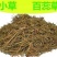 百蕊草，常年批发中药材百蕊草量大从优