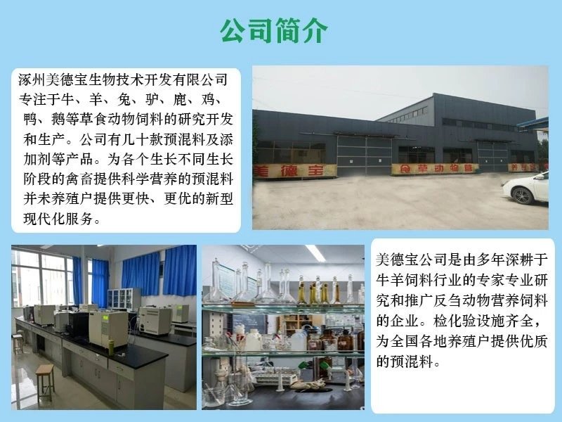 乳猪预混料乳仔猪饲料仔猪预混料10%乳仔猪专用预混料