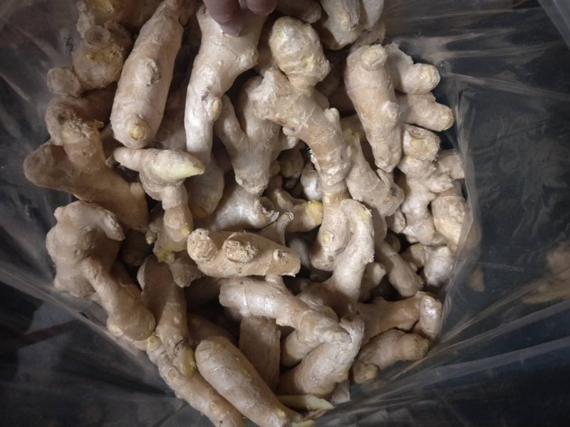 安丘各种精品姜巴，做调料用饭店食堂用都有欢迎各地老板