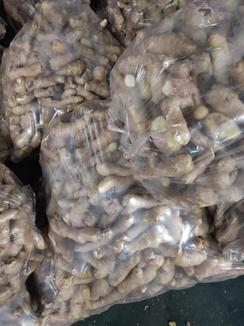 安丘各种精品姜巴，做调料用饭店食堂用都有欢迎各地老板