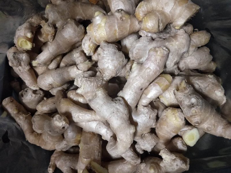 安丘各种精品姜巴，做调料用饭店食堂用都有欢迎各地老板