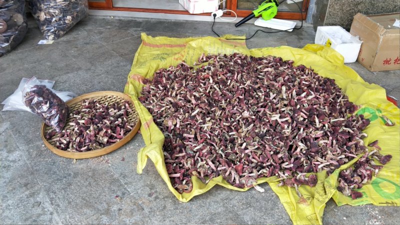 精选野生正红菇干品，标菇大标