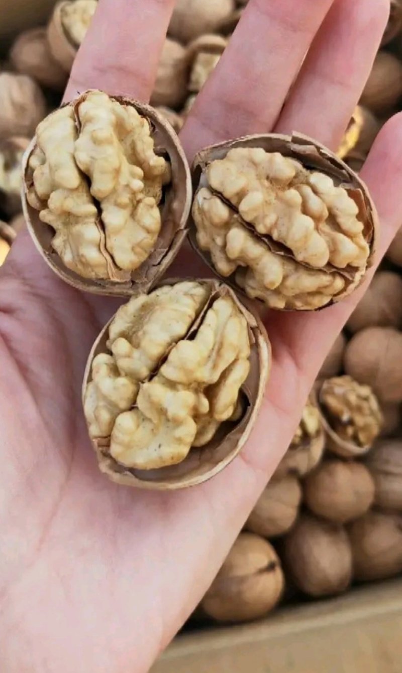 新疆185核桃