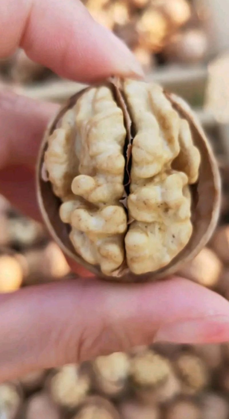 新疆185核桃