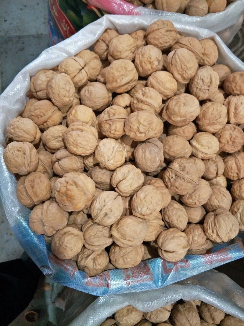 新疆185核桃