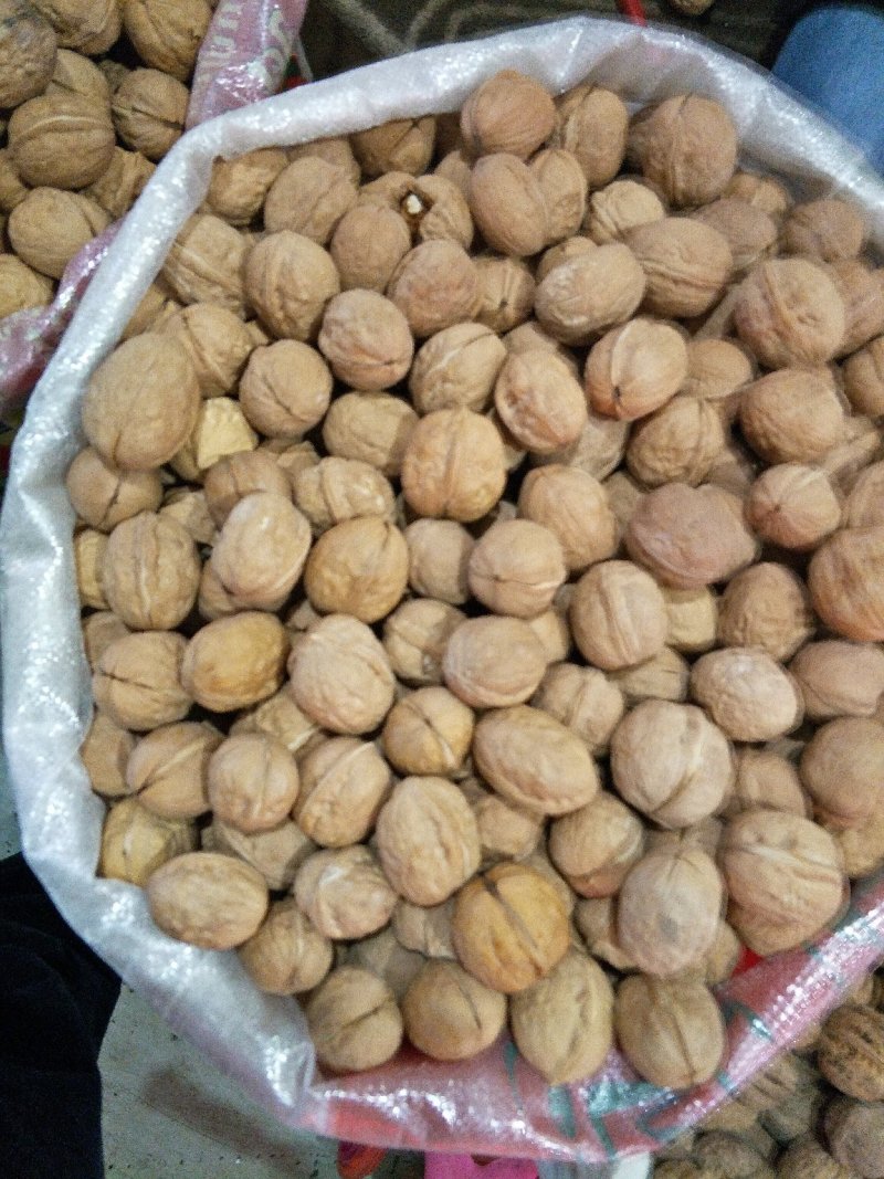 新疆185核桃