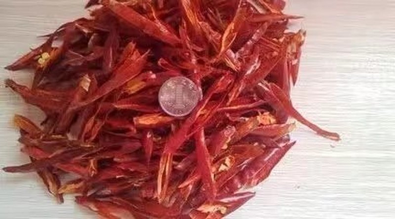 吉林白城洮南精选辣椒101皱皮椒辣椒段等等
