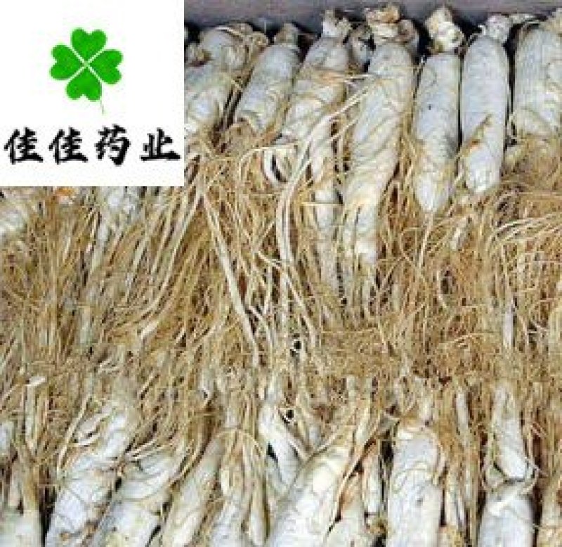 人参无硫纯干货白须参礼盒装产地直销一公斤一盒
