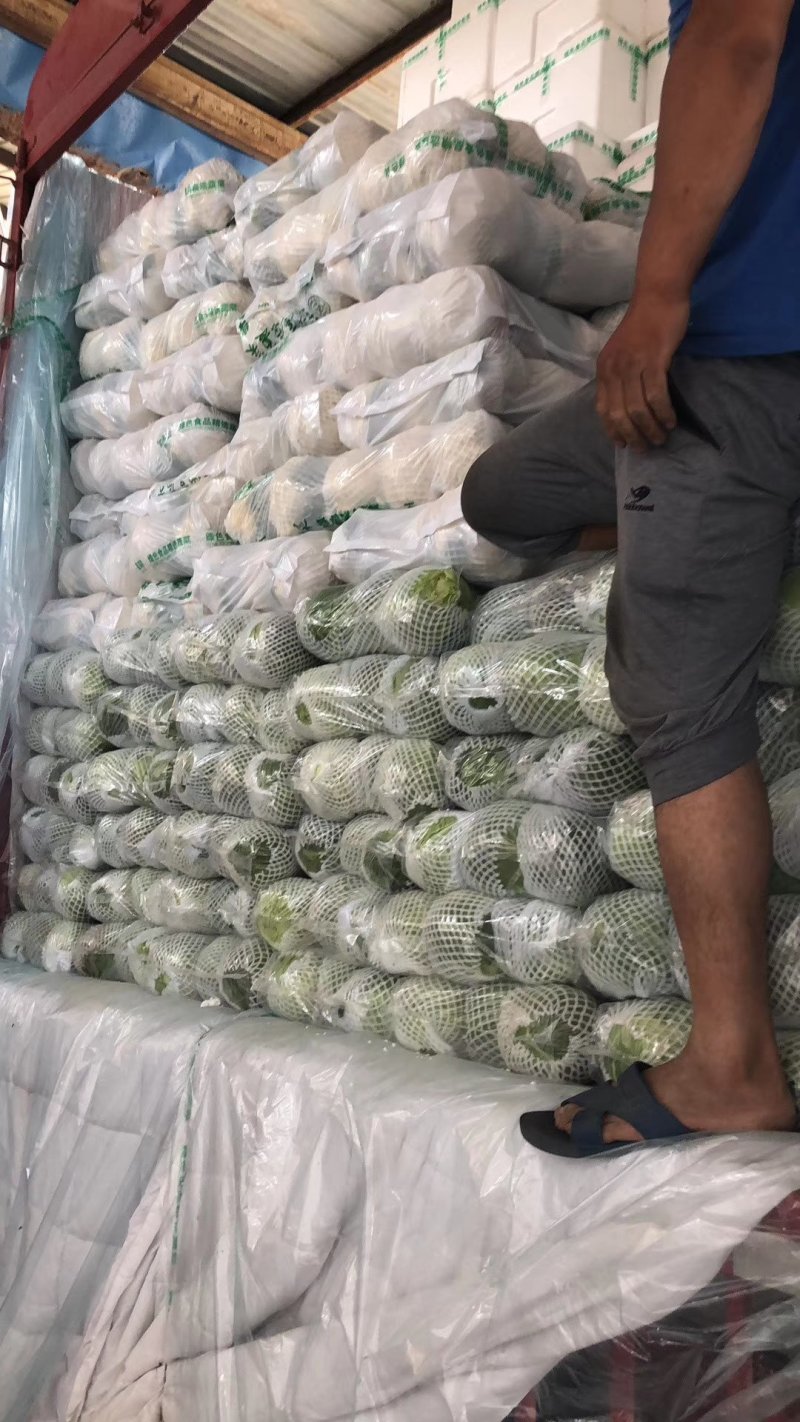 白实花大量上市可供平台，商超，加工厂社区团购