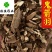 鬼箭羽鬼见羽鳞片好统片实物图供应各种中药材