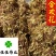 合欢花野生货农户采收实物图供应各种中药材