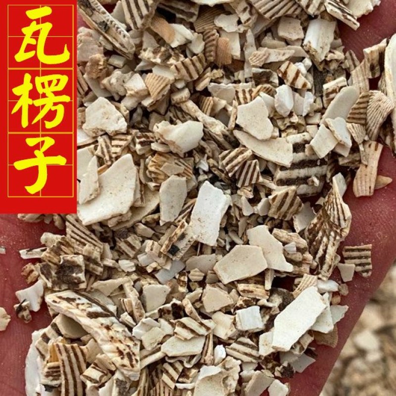 瓦楞子生煅瓦楞子统货供应大货看规格下单