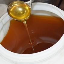 【荐】青海枸杞蜜150斤/桶~益精养肝农家蜂场直供