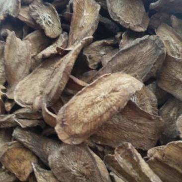 牛蒡茶2020年新货产地直发，精品牛蒡茶，正在大量走货中