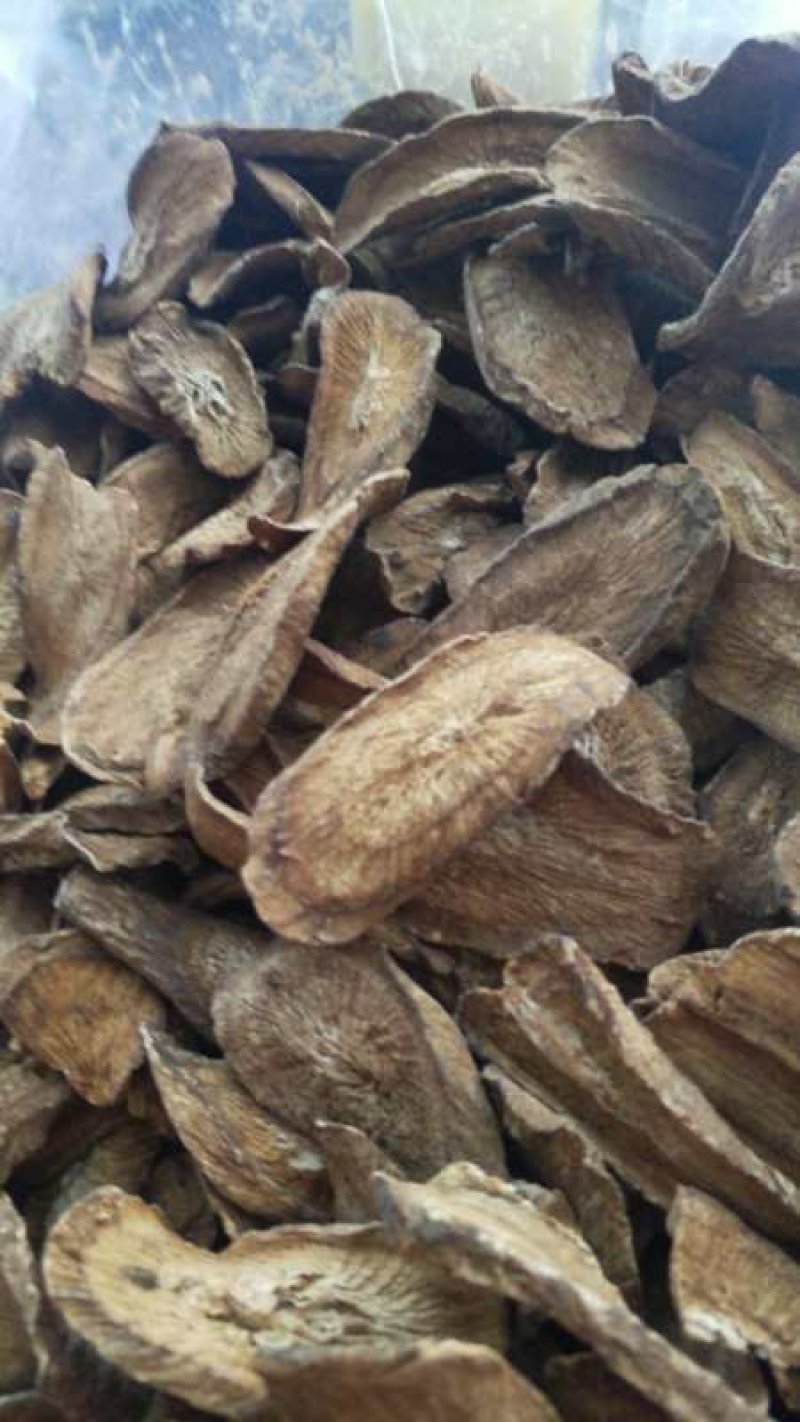 牛蒡茶2020年新货产地直发，精品牛蒡茶，正在大量走货中
