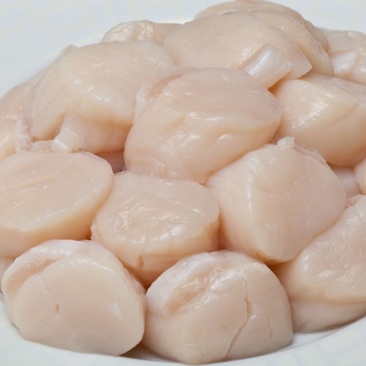 精品带子肉绿贝肉鲜贝肉货量充足产地直销
