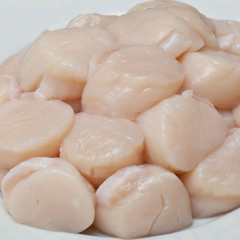 精品带子肉绿贝肉鲜贝肉货量充足产地直销